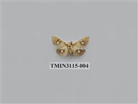 藏品(螟蛾216)的圖片